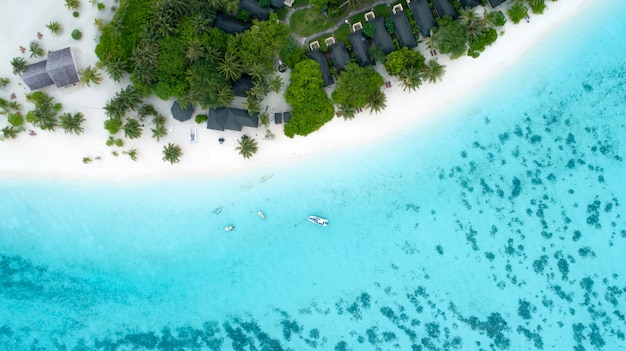 Beautiful aerial view of Maldives and tropical beach . Travel and vacation concept