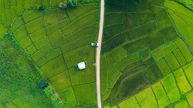 beautiful Aerial view of rice terrace fields and cottage