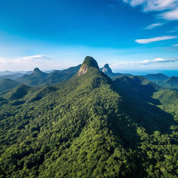 Beautiful aerial view to rocky corcovado mountain on green rainforest