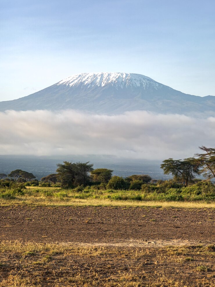 Photo beautiful african landscape on background of kilimanjaro kenya africa beautiful view of the african savanna and kilimanjaro volcano