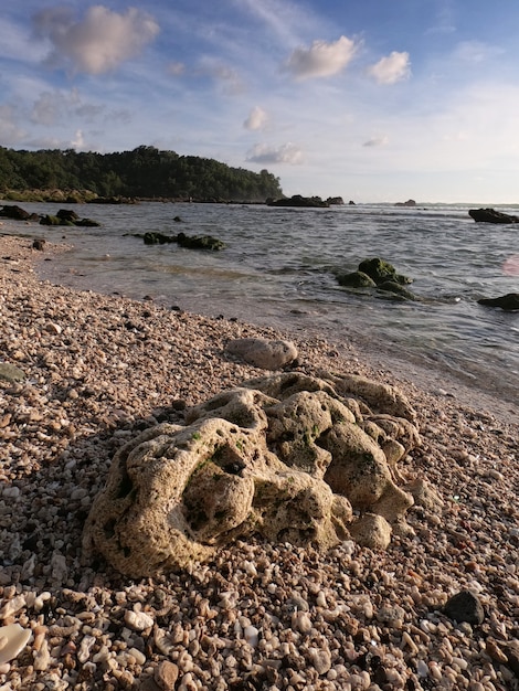 Beautiful afternoon scenery at Wediombo Beach Wediombo Beach located in Gunung Kidul Yogyakarta Indonesia