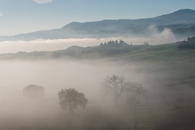 Beautiful agricaltural landscape with hills and trees, Tuscany picture