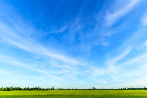 Beautiful airatmosphere bright blue sky background abstract clear texture with white clouds