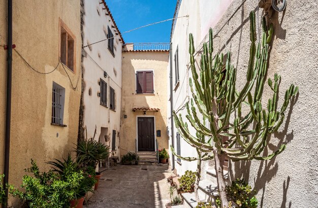 The beautiful alley of castelsardo old city