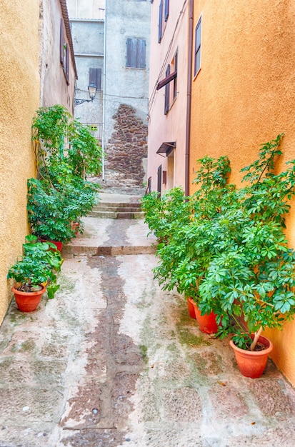 The beautiful alley of castelsardo old city