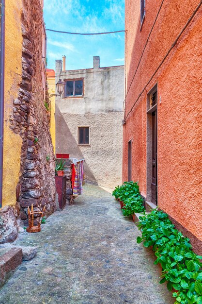 The beautiful alley of castelsardo old city