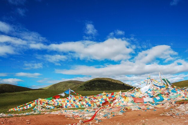 Beautiful alpine meadows and colorful prayer flags under the blue sky and white clouds