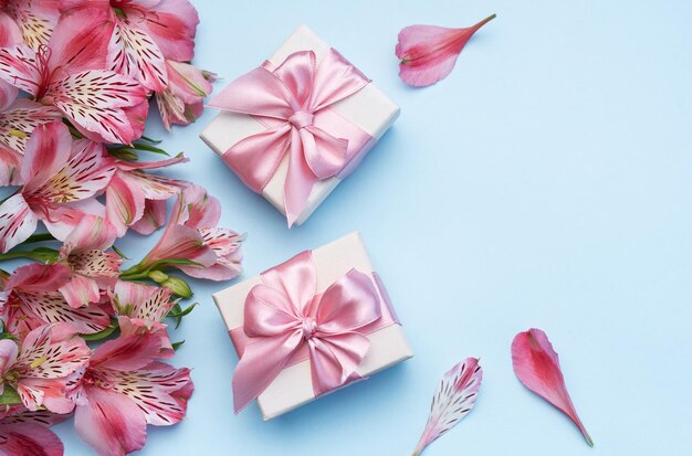 beautiful alstroemeria flowers and gift boxes on blue background
