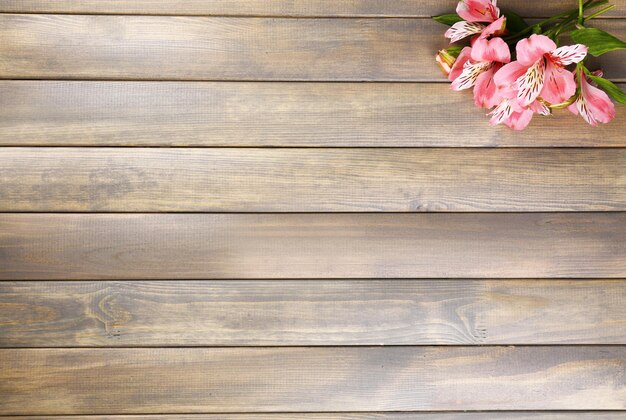 Beautiful Alstroemeria flowers on wooden table