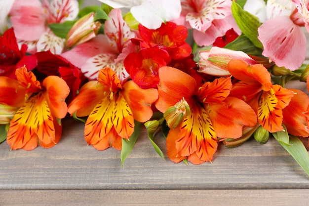 Beautiful Alstroemeria flowers on wooden table