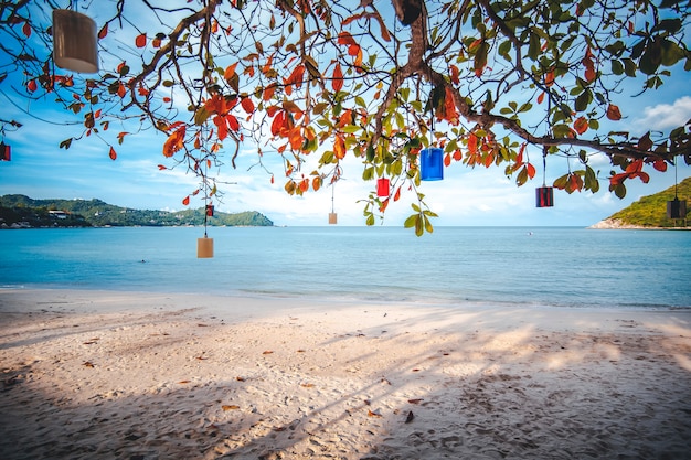 Beautiful amazing incredible tropical beach, white sand, blue sky with clouds and