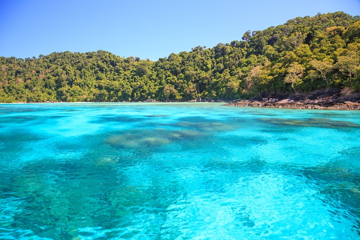 Фотография прекрасное море в андаманском море