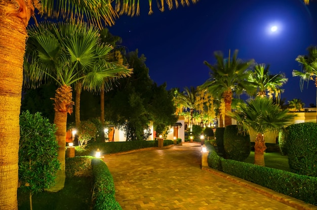 이집트 샤름 엘 셰이크의 호텔에서 아름다운 아라비아 밤