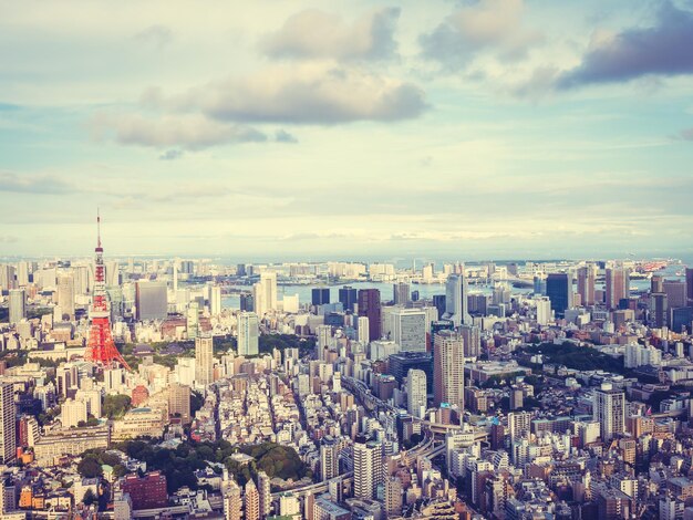 写真 日本の東京タワーとともに東京市周辺の美しい建築と建物