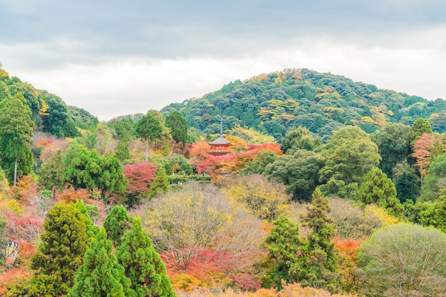 写真 京都清水寺の美しい建築。