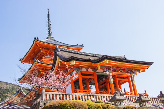 写真 桜の時期に清水寺内の美しい建築物が京都で咲きそうです。