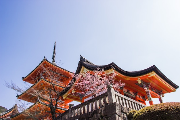 Bella architettura all'interno del tempio kiyomizu-dera durante la ciliegia