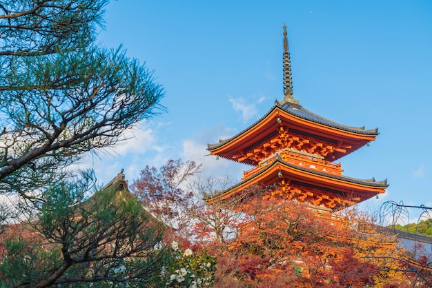 京都清水寺の美しい建築。