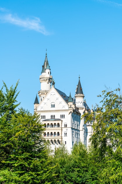 Bella architettura al castello di neuschwanstein nelle alpi bavaresi della germania.