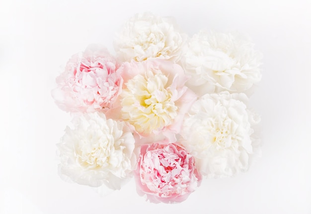 Beautiful aromatic fresh blossoming tender pink peonies texture close up view Romantic background