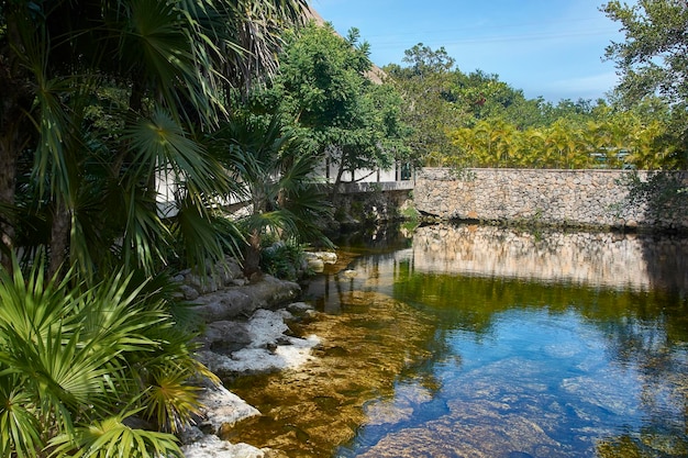 Beautiful artificial lake surrounded by palm