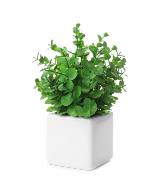 beautiful artificial plant in flower pot isolated on white