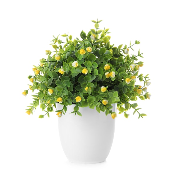 beautiful artificial plant in flower pot isolated on white