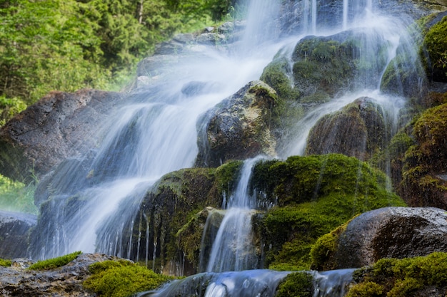 Belle cascate artificiali, lussureggianti pietre verdi muschiose. (izvorul minunilor) romania, stana de vale