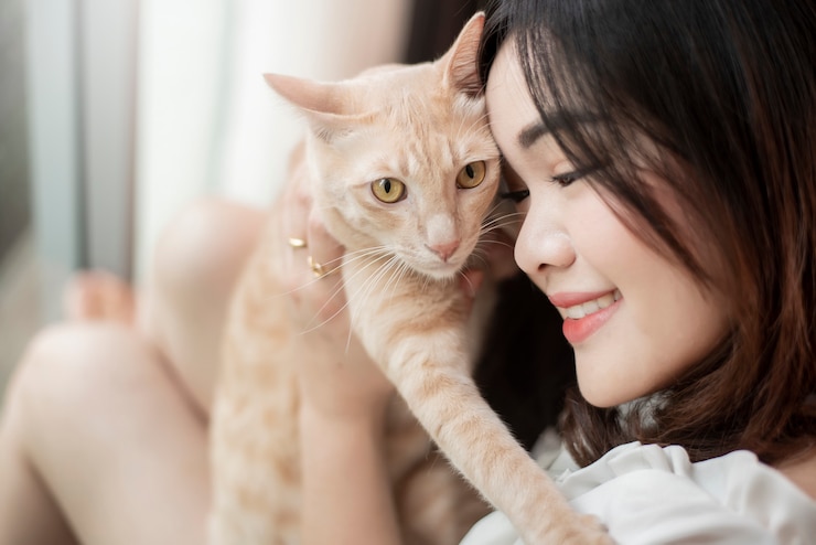 Photo 美しいアジアの猫の恋人の女性は彼女の部屋で猫と遊んでいます