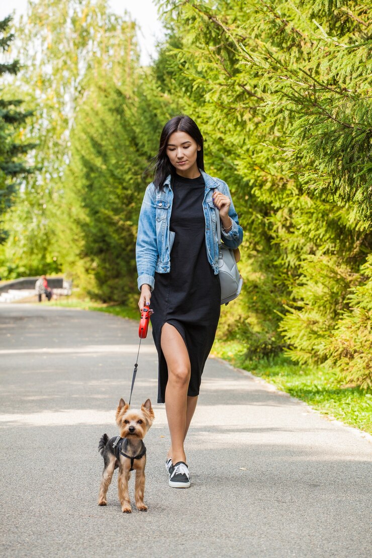 Photo 彼女の犬ヨークシャーテリアと一緒に夏に公園を散歩する美しいアジアの女の子