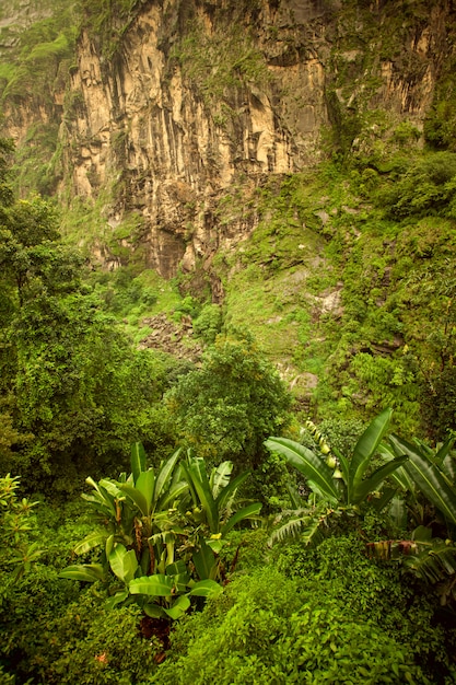 Beautiful Asian landscape