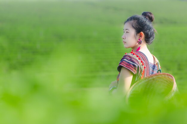 Beautiful asian woman Harvesting tea leaves in the morning tea leaves in the field of tea