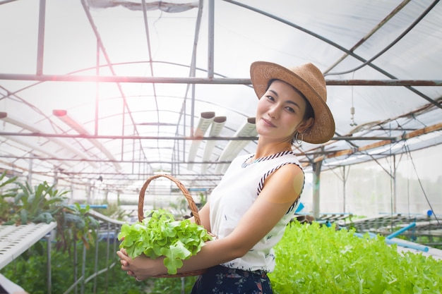 Красивая азиатская женщина держа корзину овощей стоя на ферме гидропоники