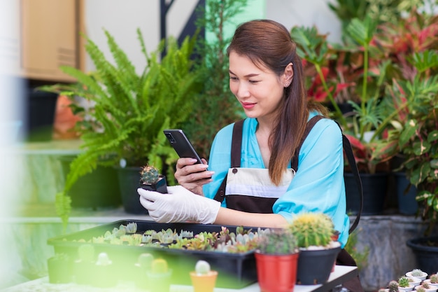 Beautiful Asian woman wears apron and using smartphone taking photos of small cactus in white pod with happy face. Concept of hobby and business owner.