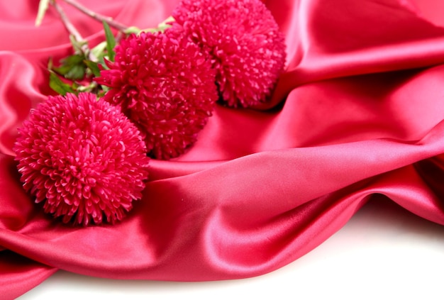 Beautiful aster flowers on silk background