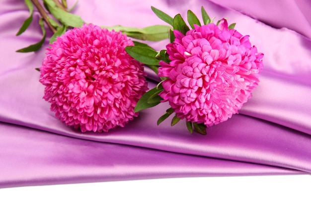 Beautiful aster flowers on silk background