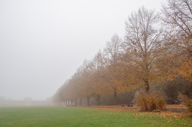 Beautiful autumn background park