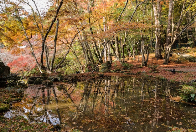 Beautiful autumn colored leaves garden in Daigo-ji temple, Kyoto, Japan