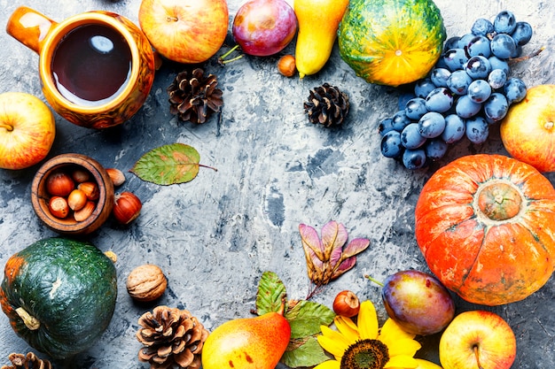 Foto vista superiore del bello fondo della struttura della composizione in autunno