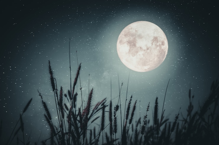 Photo beautiful autumn fantasy - maple tree in fall season and full moon with milky way star in night skies background. retro style artwork with vintage color tone