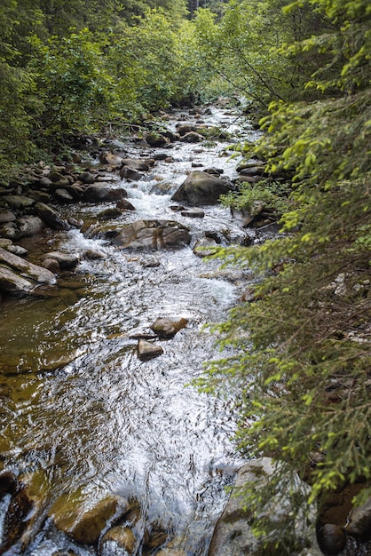 日没時の美しい秋の森の山道。観光ハイキング。国立自然公園