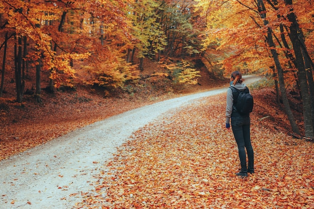 Beautiful autumn forest mountain path