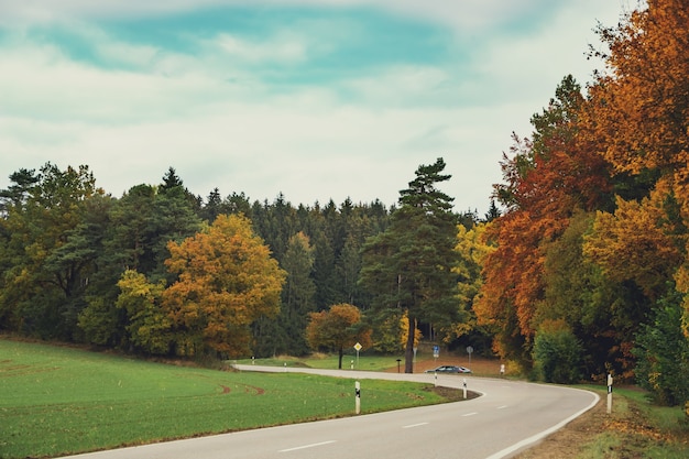 beautiful autumn forest and road in bavaria