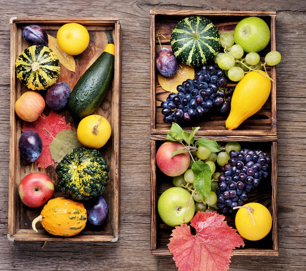 Beautiful autumn harvest