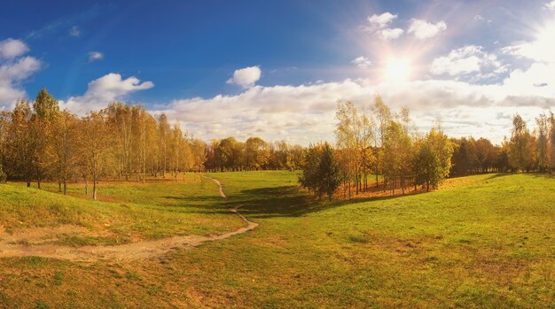 Bellissimo paesaggio autunnale. parco autunnale con un tappeto di foglie d'arancio cadute aceri e betulle alla luce solare gialla brillante in natura.