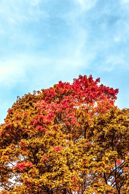 Beautiful autumn landscape background vintage nature scene in fall season