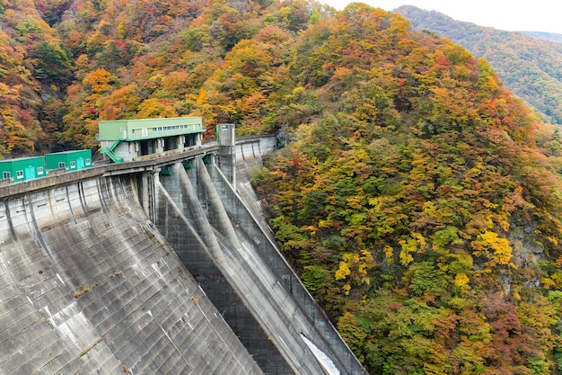 美しい秋の風景とダム