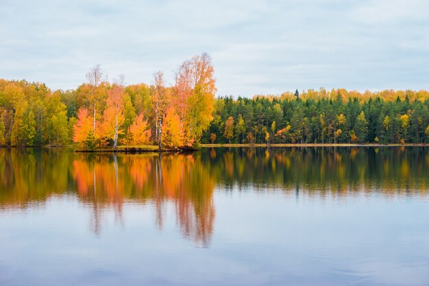 Beautiful autumn landscape. Reflection of the autumn forest in the lake.