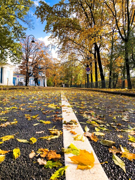 Красивый осенний пейзаж в солнечную погоду o