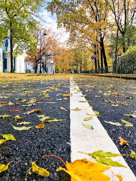 Foto bellissimo paesaggio autunnale con tempo soleggiato o